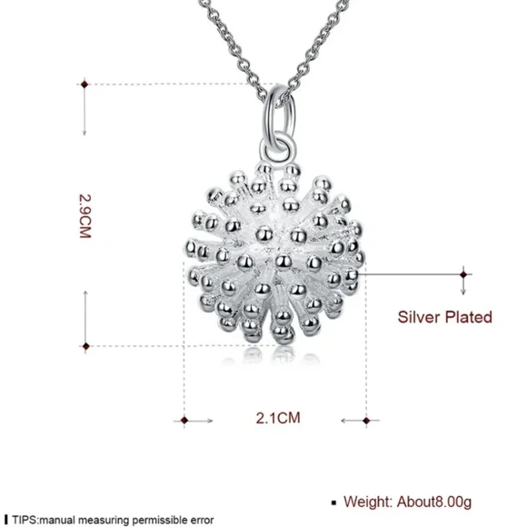 Silver Necklace - Picture 5 of 5